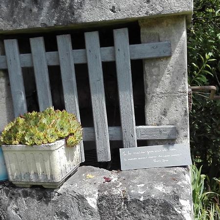 Gite O Beauval Saint-Aignan  Kültér fotó