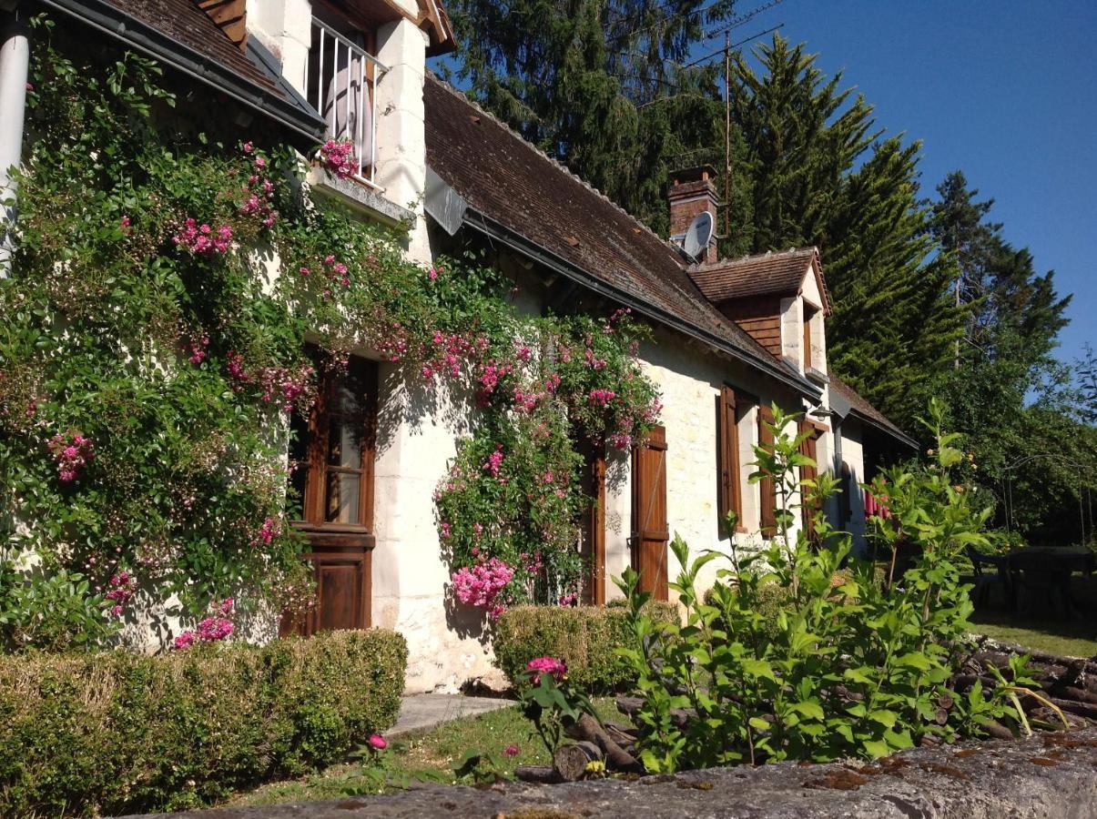 Gite O Beauval Saint-Aignan  Kültér fotó