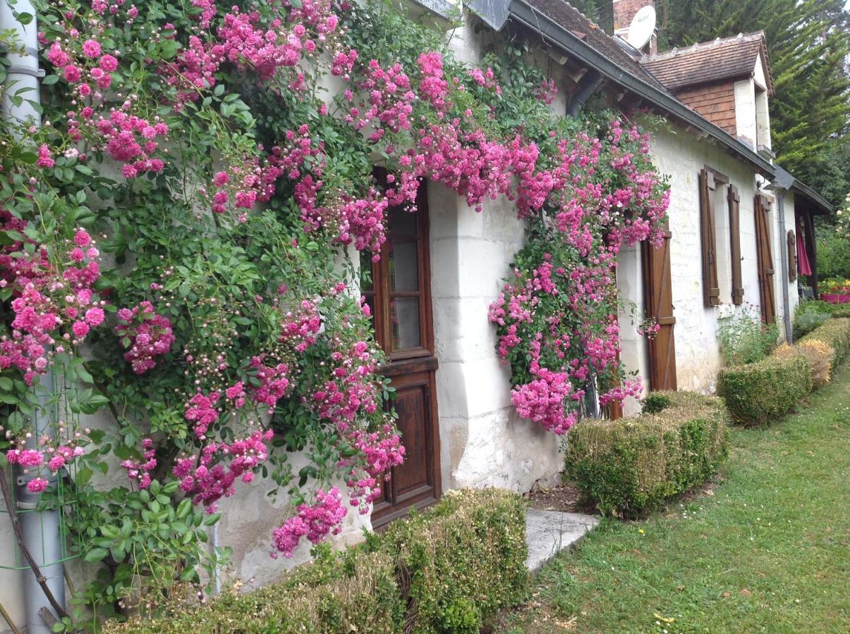 Gite O Beauval Saint-Aignan  Kültér fotó