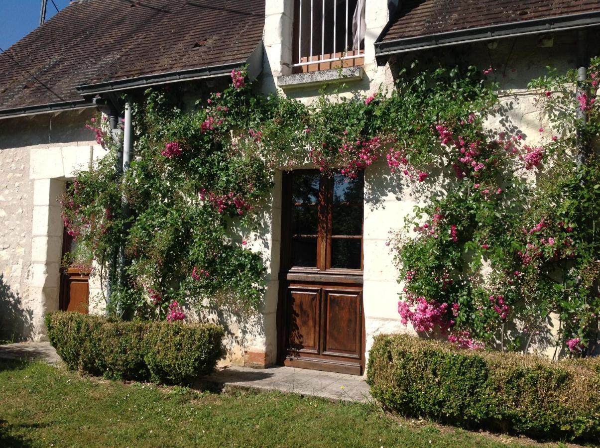 Gite O Beauval Saint-Aignan  Kültér fotó