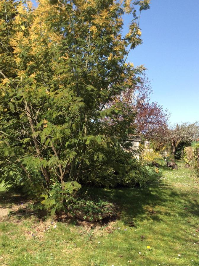 Gite O Beauval Saint-Aignan  Kültér fotó