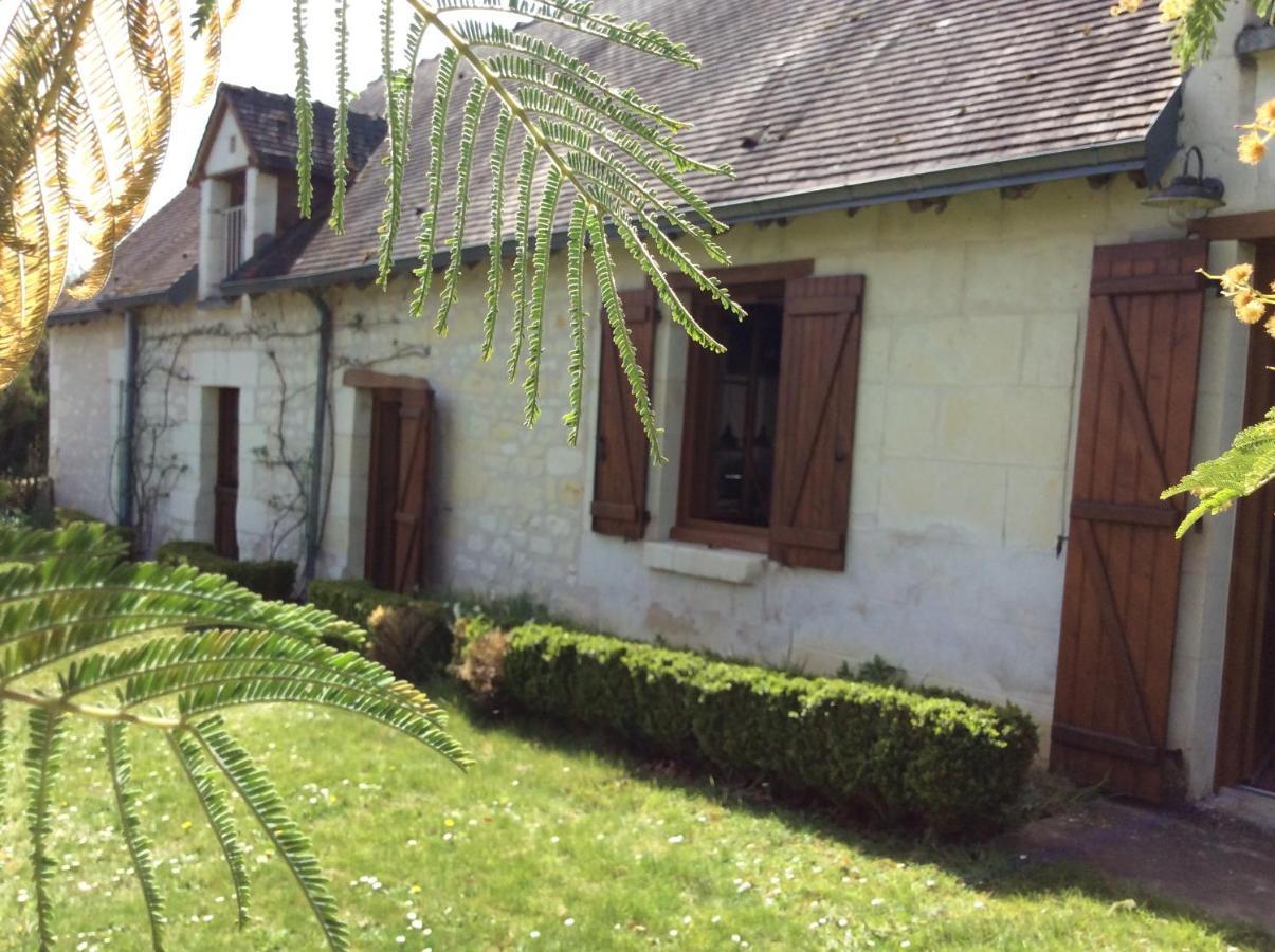 Gite O Beauval Saint-Aignan  Kültér fotó